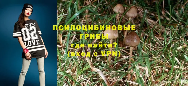 Псилоцибиновые грибы Magic Shrooms  Почеп 